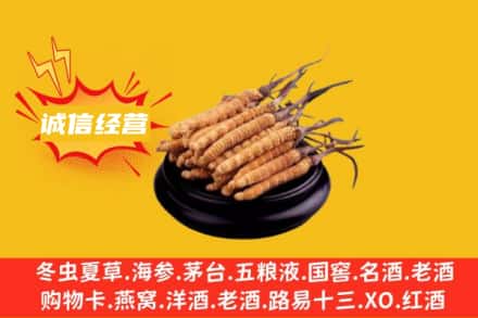北京通州区回收冬虫夏草